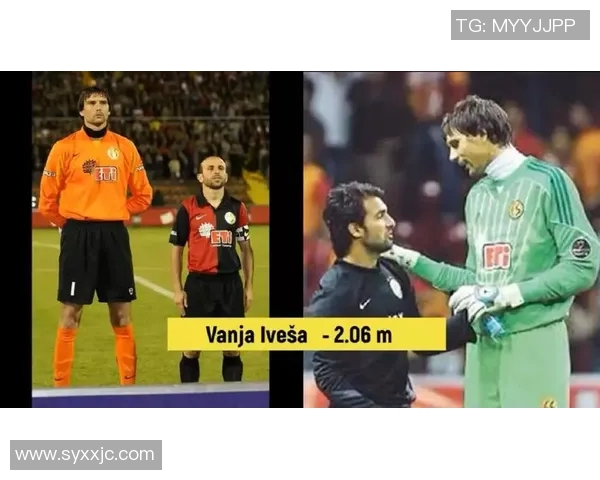 范字足球明星的传奇故事与他们在绿茵场上的辉煌成就解析